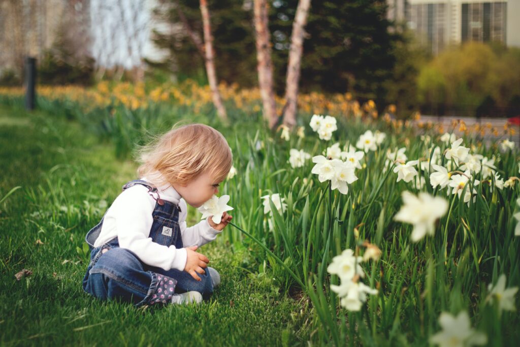 child smelling flowers on a green lawn